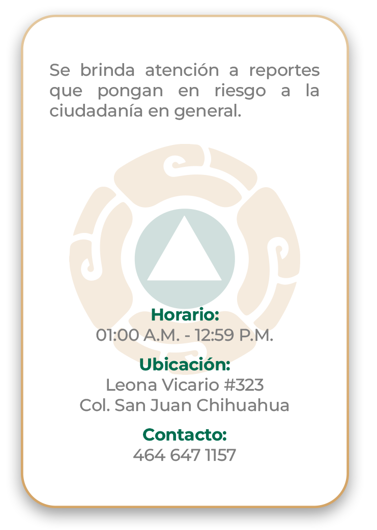 Información Reportes